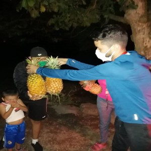 Municipalidad de Nueva Santa Rosa